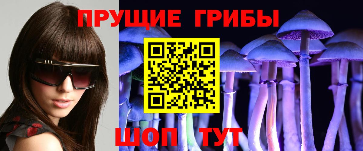 Северодвинск  Псилоцибиновые грибы прущие грибы  Вход с VPN 