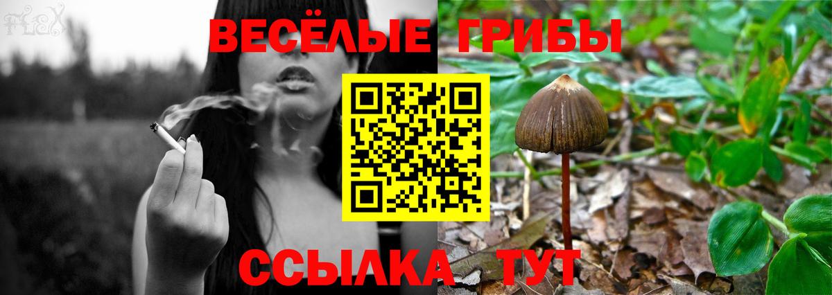 Галлюциногенные грибы MAGIC MUSHROOMS Северодвинск